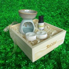 Box EO Set (Ginger)